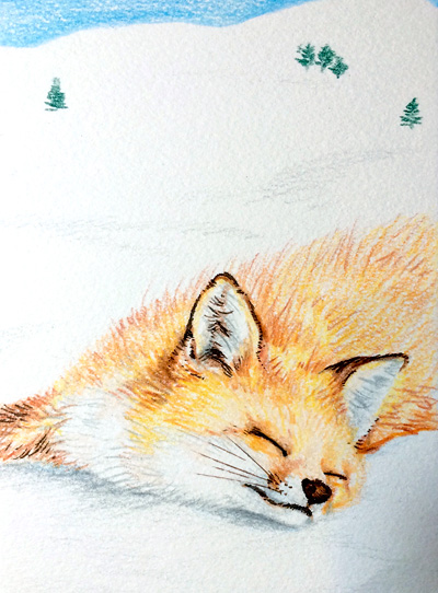 20150709-fox.jpg