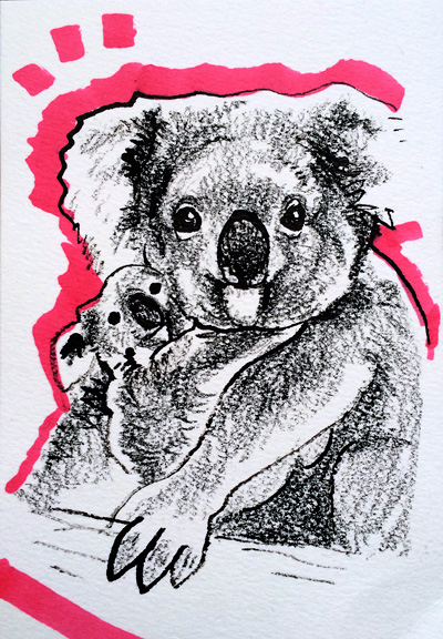 20150709-koala.jpg