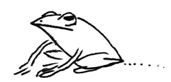 20150710-frog.jpg