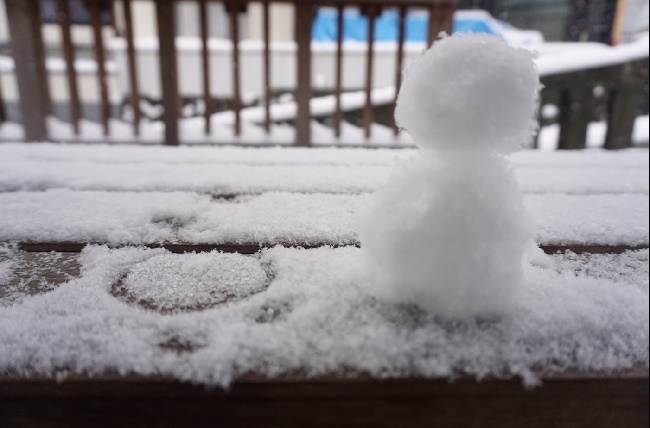 ≪写真：雪だるま≫