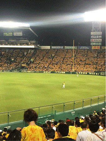 20190730-hito.gif