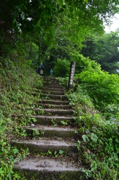 登山道