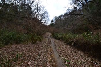 登山道